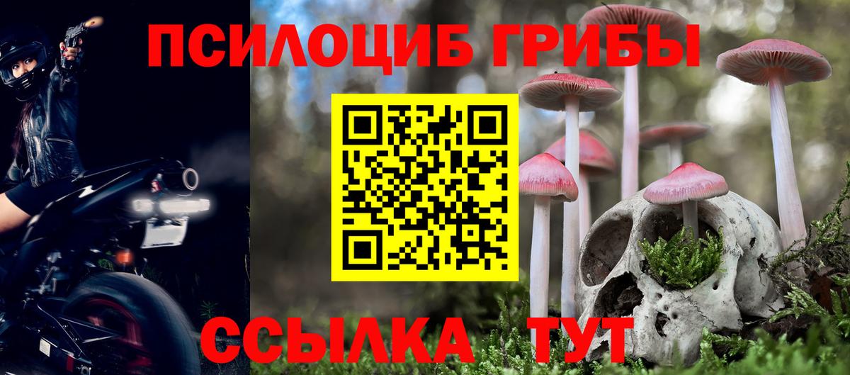 Назрань  Псилоцибиновые грибы GOLDEN TEACHER  купить   Псилоцибиновые грибы Psilocybe  Вход с VPN 